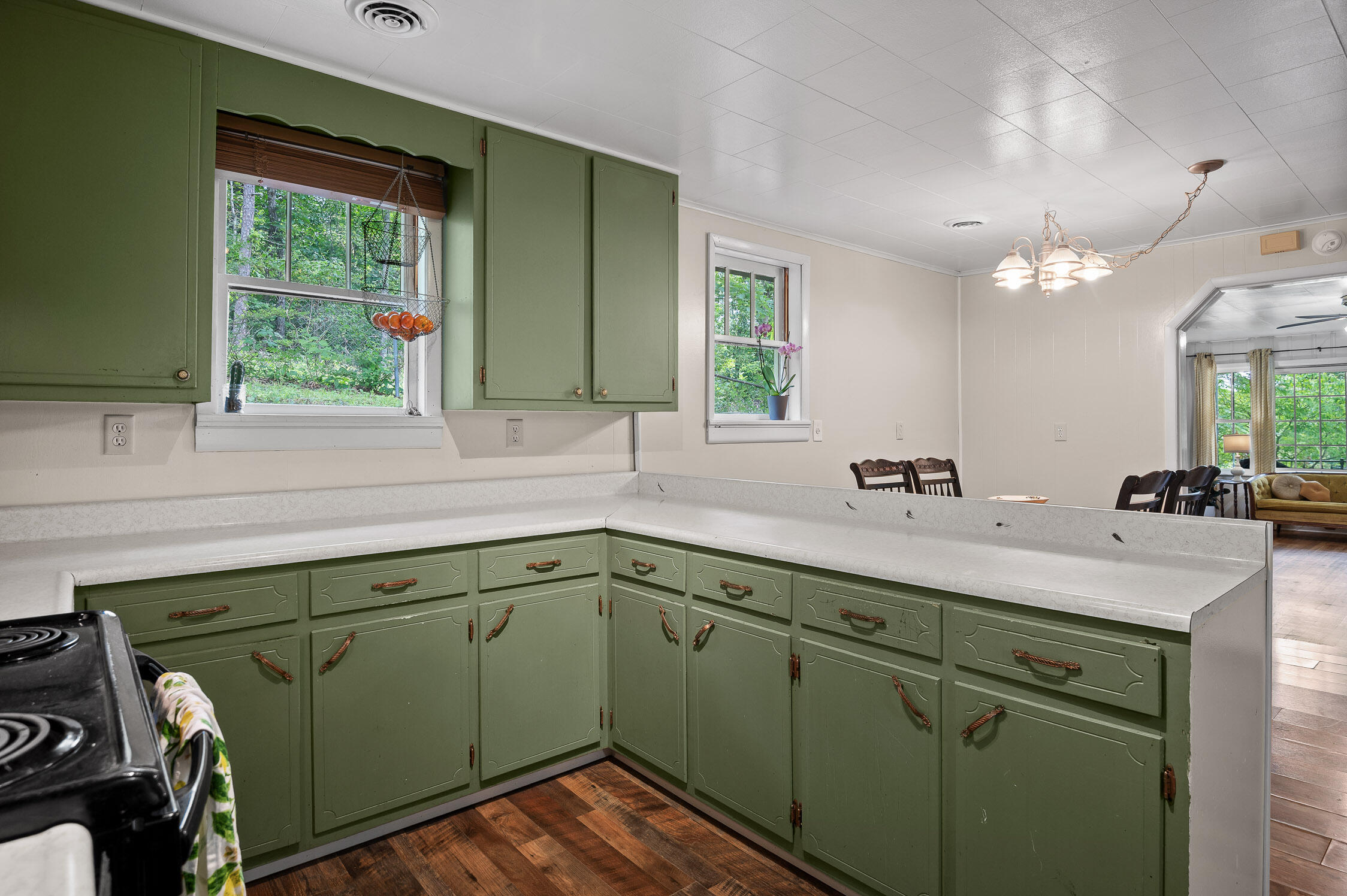 1300 Park City Road Rossville, GA 30741 - Photo 9 of 33 31-Park City-31