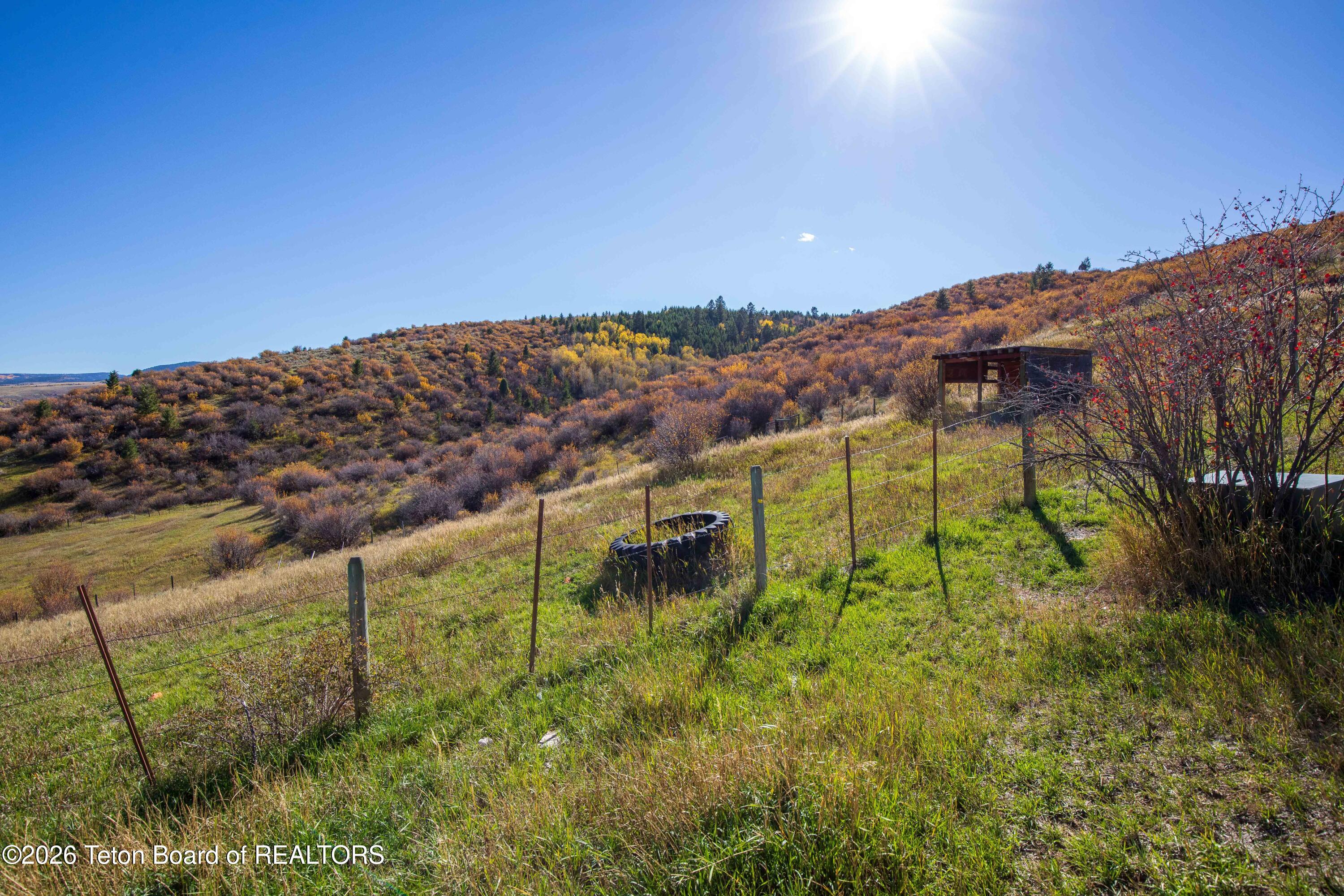 181 Hitching Rail Road Afton, WY 83110 - Photo 49 of 52 1750 Crow Creek Rd__IMG_0170