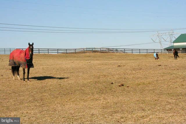 4618 South Polling House Road Harwood, MD 20776 - Photo 6 of 7 Great setting for horses