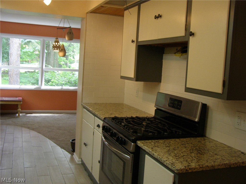 4502 Emerson Road Cleveland, OH 44121 - Photo 11 of 22