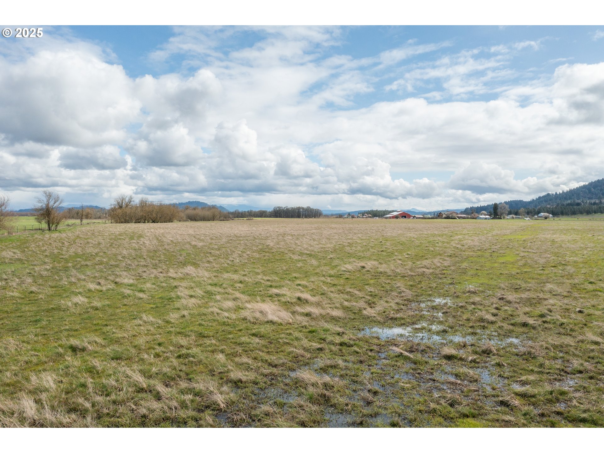 32732 Sandridge Road Lebanon, OR 97355 - Photo 9 of 16 Gallery Image 9