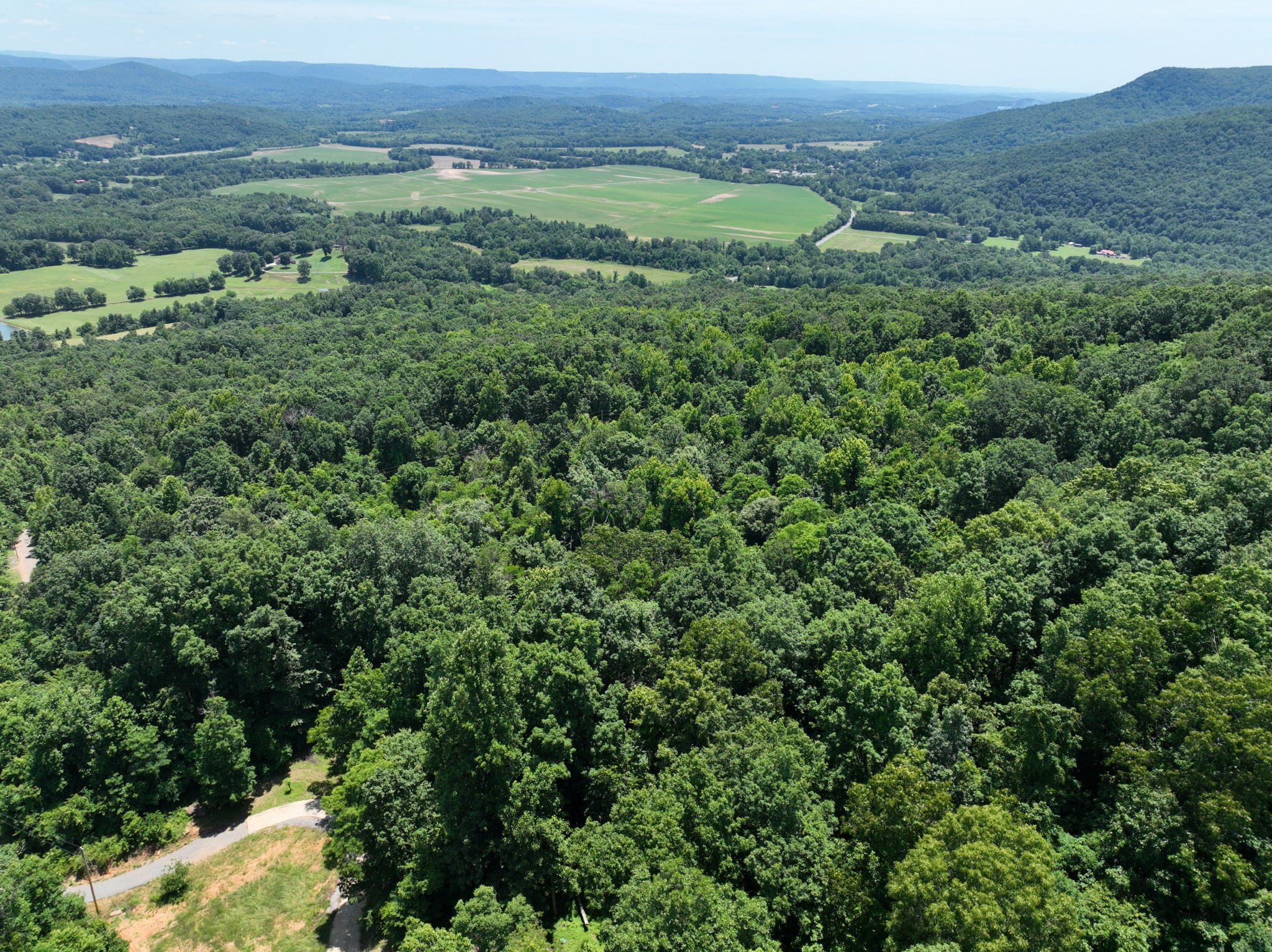 83 Dancing Fern Road Sequatchie, TN 37374 - Photo 11 of 21 a view of a lush green forest with trees and some houses