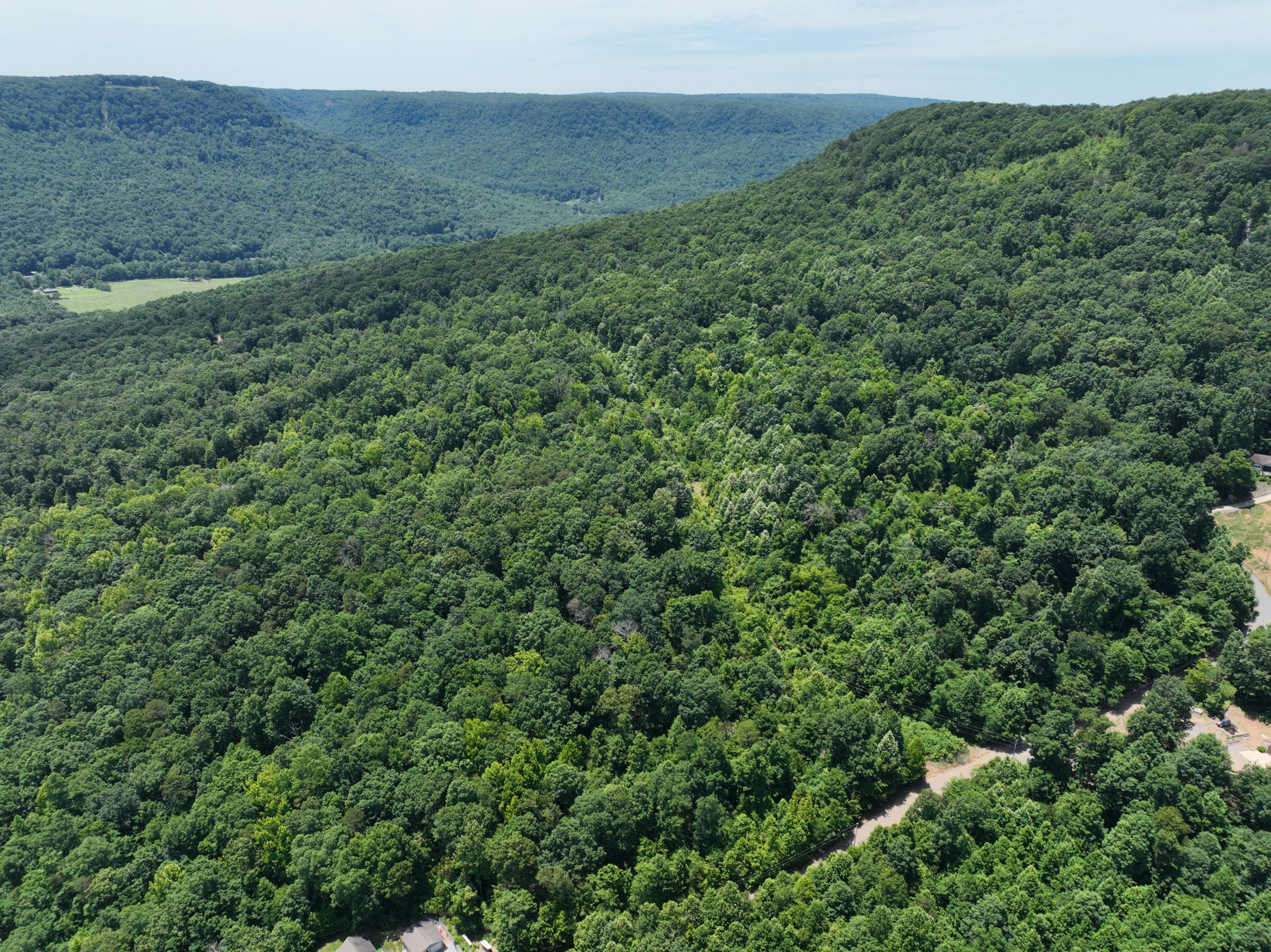 83 Dancing Fern Road Sequatchie, TN 37374 - Photo 14 of 21 a view of a lush green forest with trees and some houses
