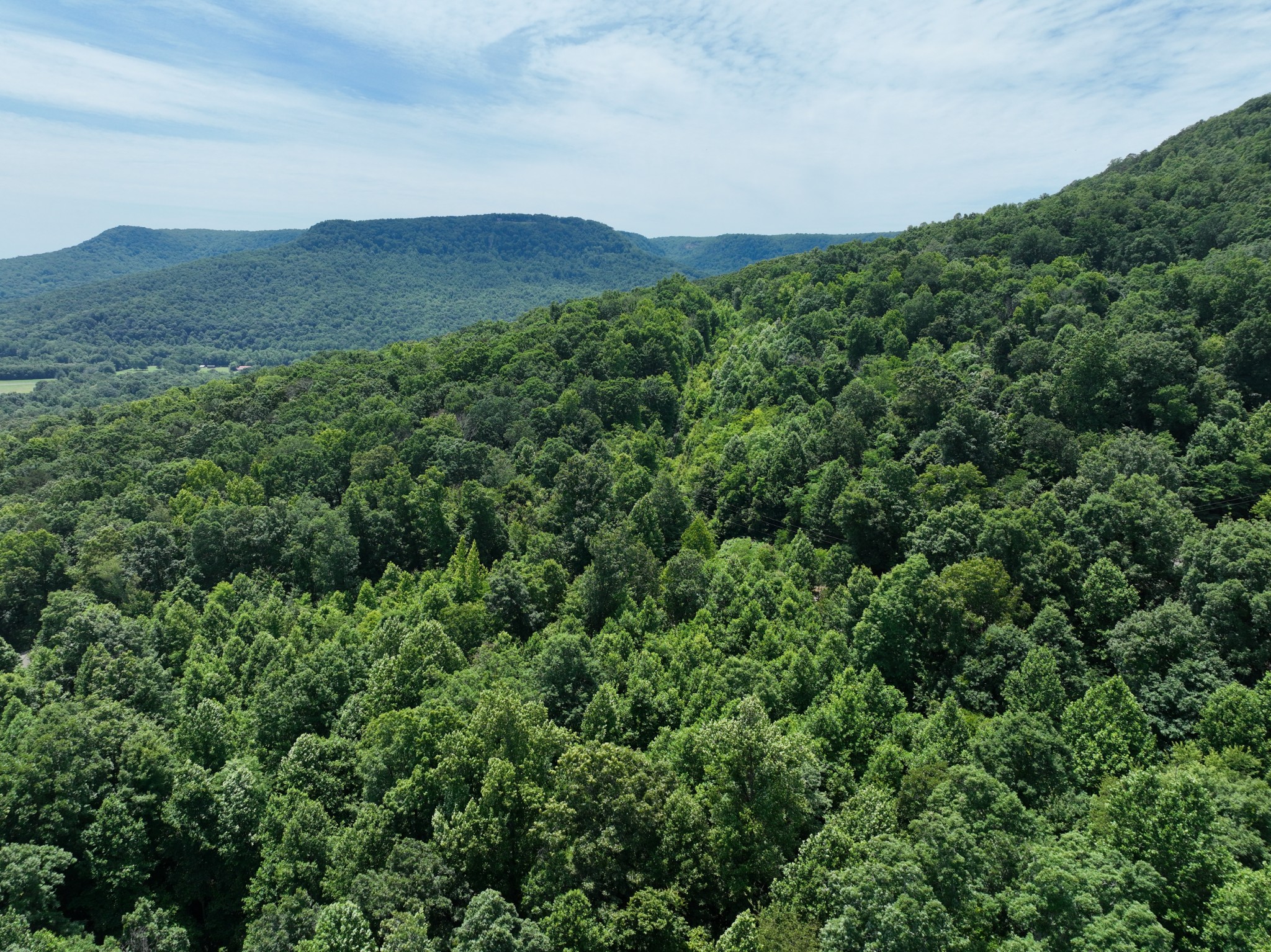 83 Dancing Fern Road Sequatchie, TN 37374 - Photo 15 of 21 a view of a lush green forest with a building in the background