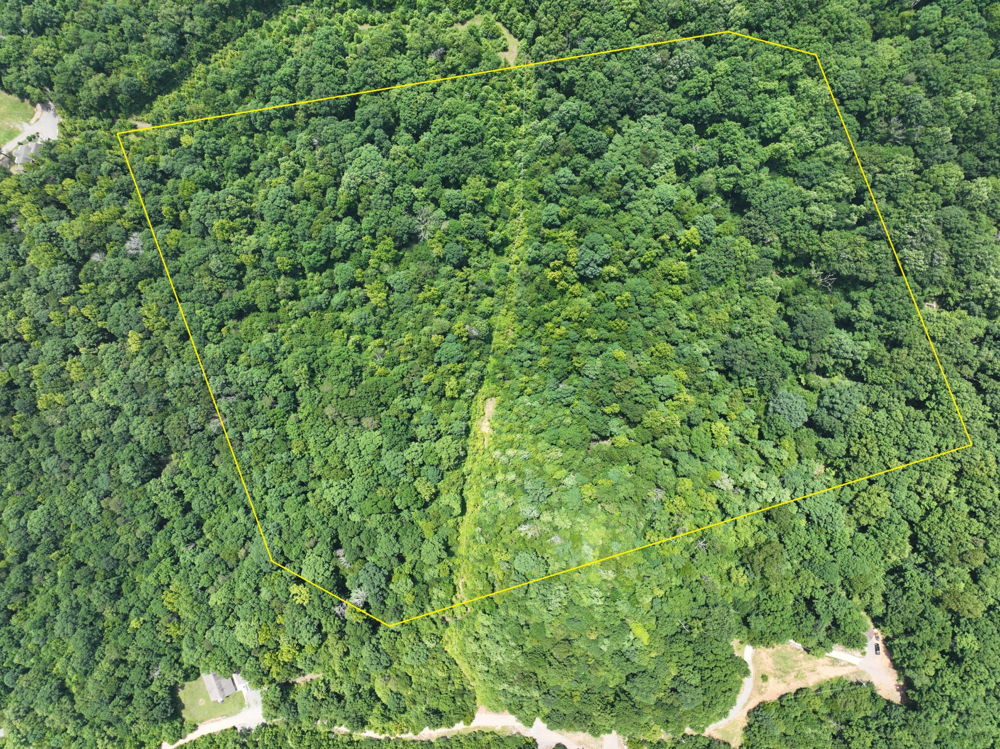 83 Dancing Fern Road Sequatchie, TN 37374 - Photo 18 of 21 a view of a lush green forest