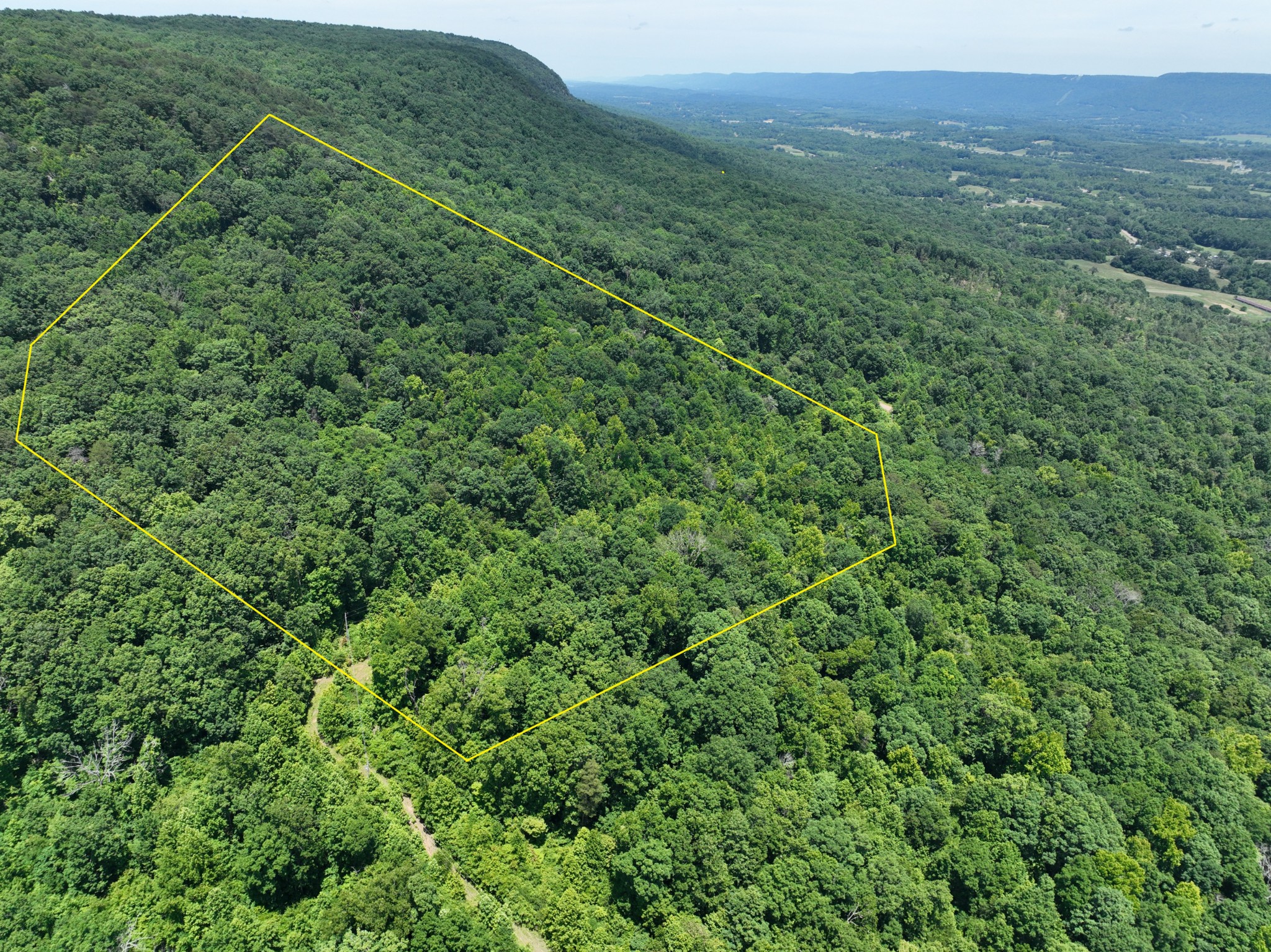 83 Dancing Fern Road Sequatchie, TN 37374 - Photo 20 of 21 a view of a green field with lots of bushes