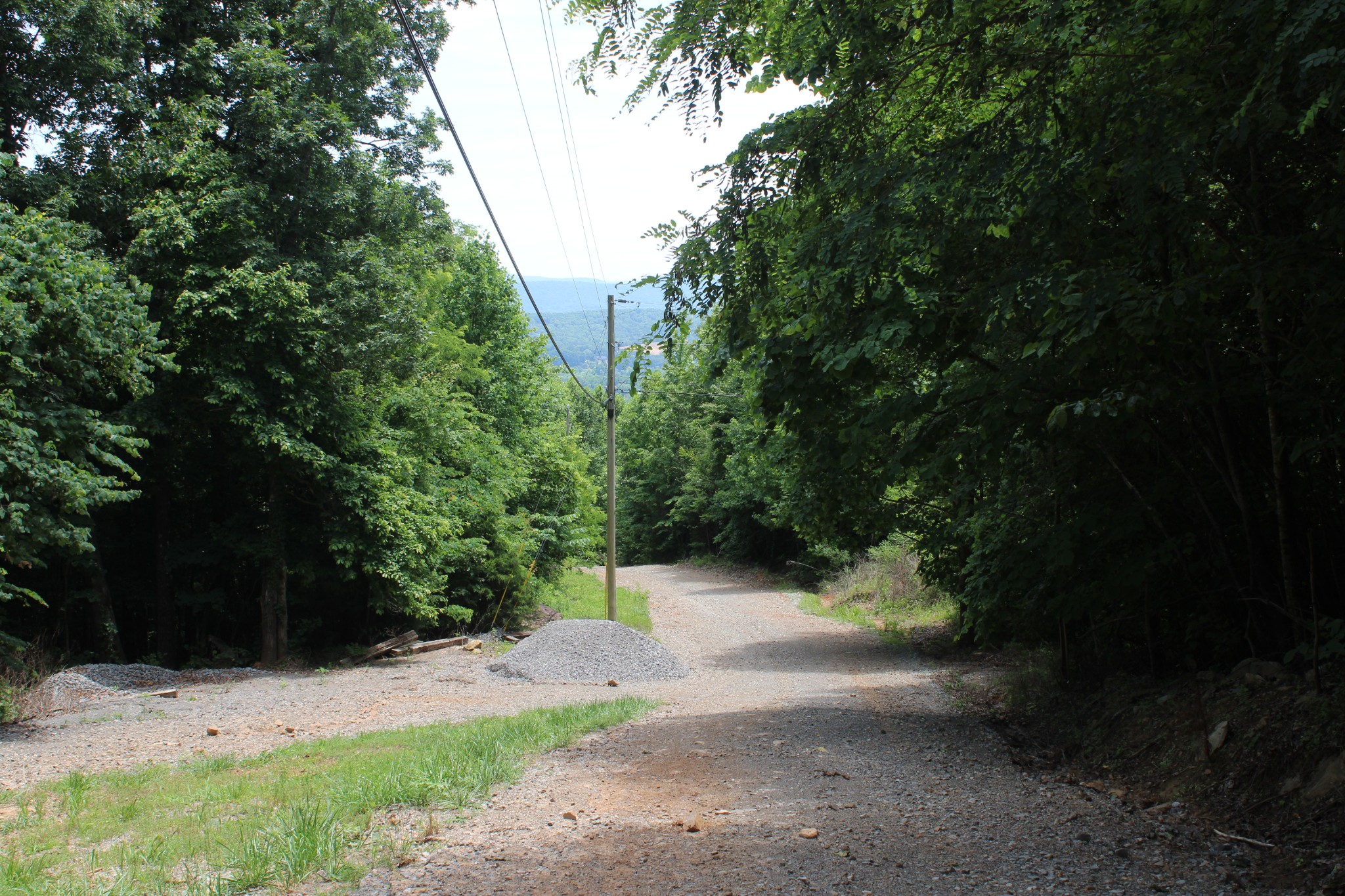 83 Dancing Fern Road Sequatchie, TN 37374 - Photo 2 of 21 a view of a yard with plants and trees