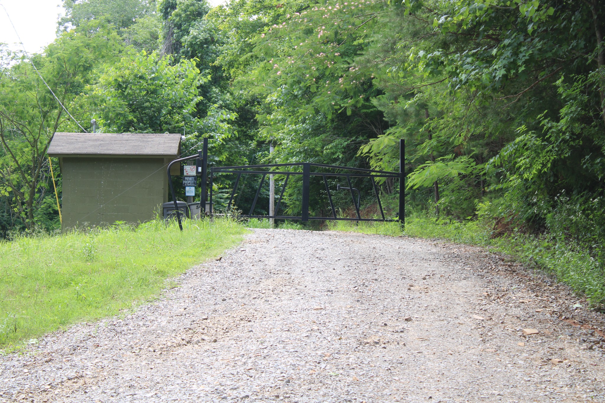 83 Dancing Fern Road Sequatchie, TN 37374 - Photo 6 of 21 a backyard of a house with plants and large trees