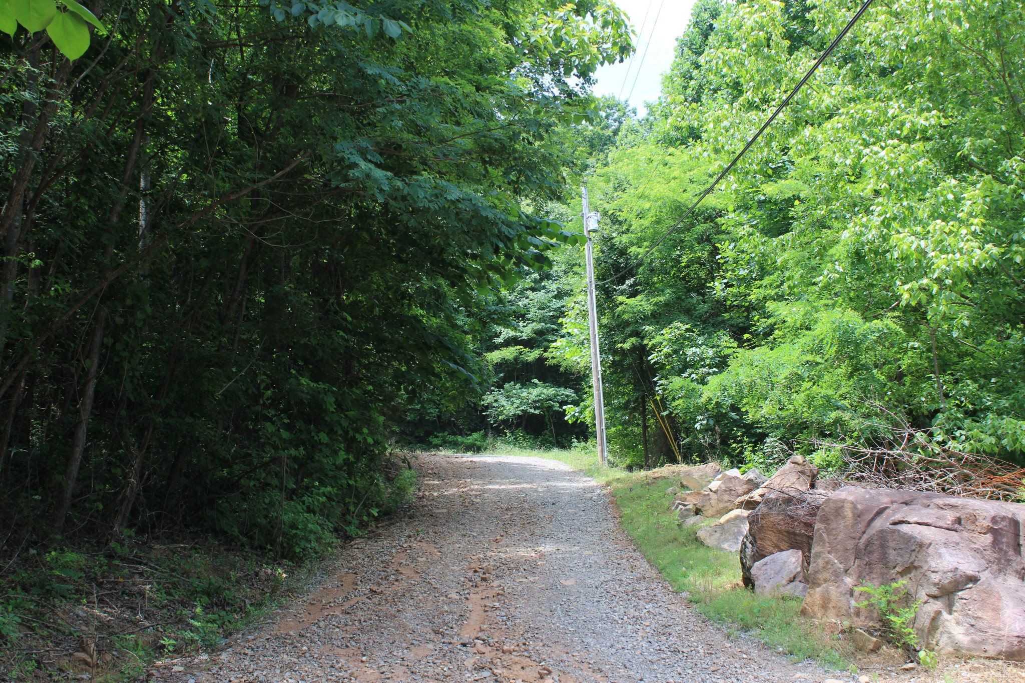 83 Dancing Fern Road Sequatchie, TN 37374 - Photo 7 of 21 a view of outdoor space and garden