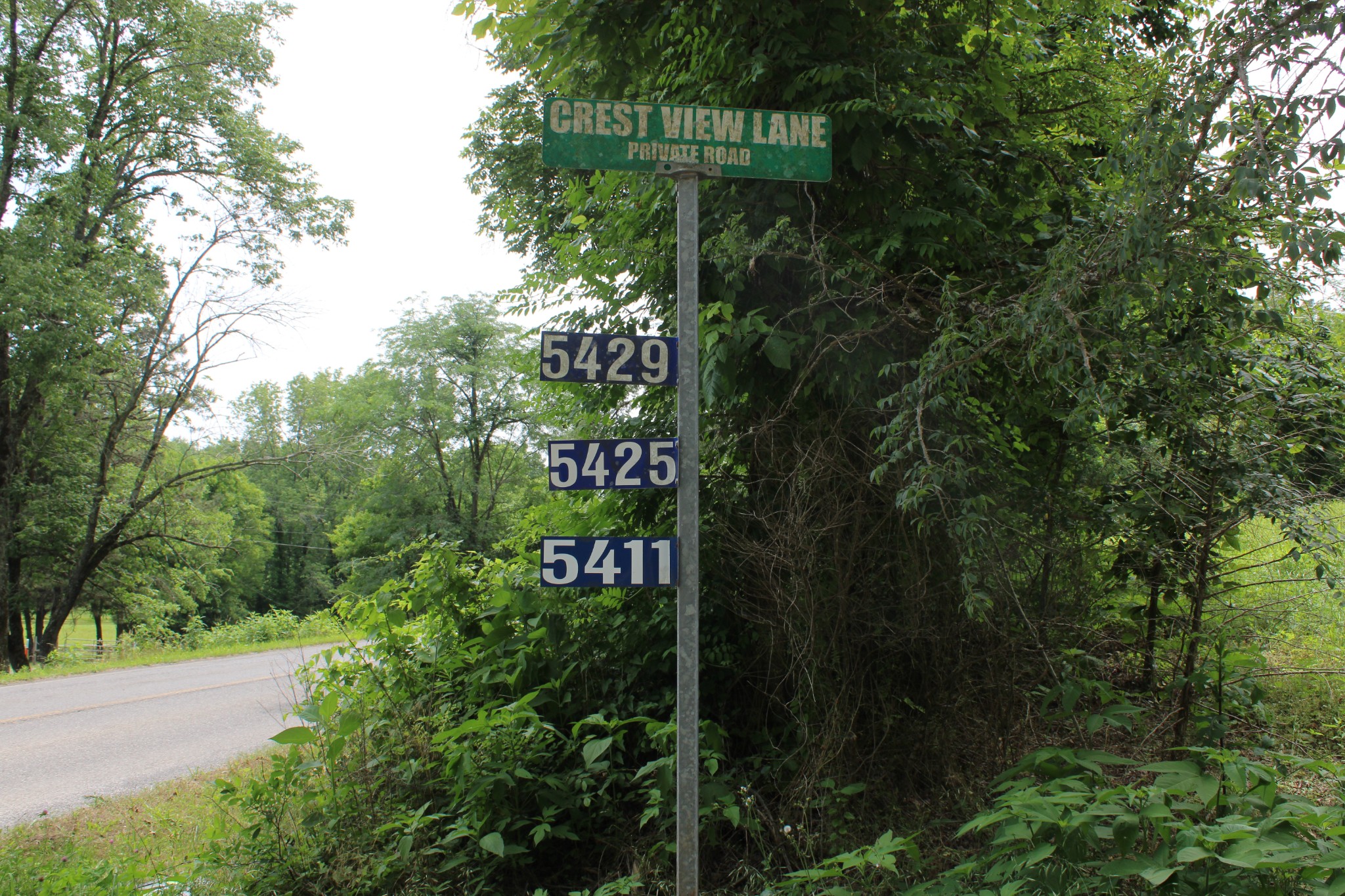 83 Dancing Fern Road Sequatchie, TN 37374 - Photo 9 of 21 a sign that is sitting in the tall trees