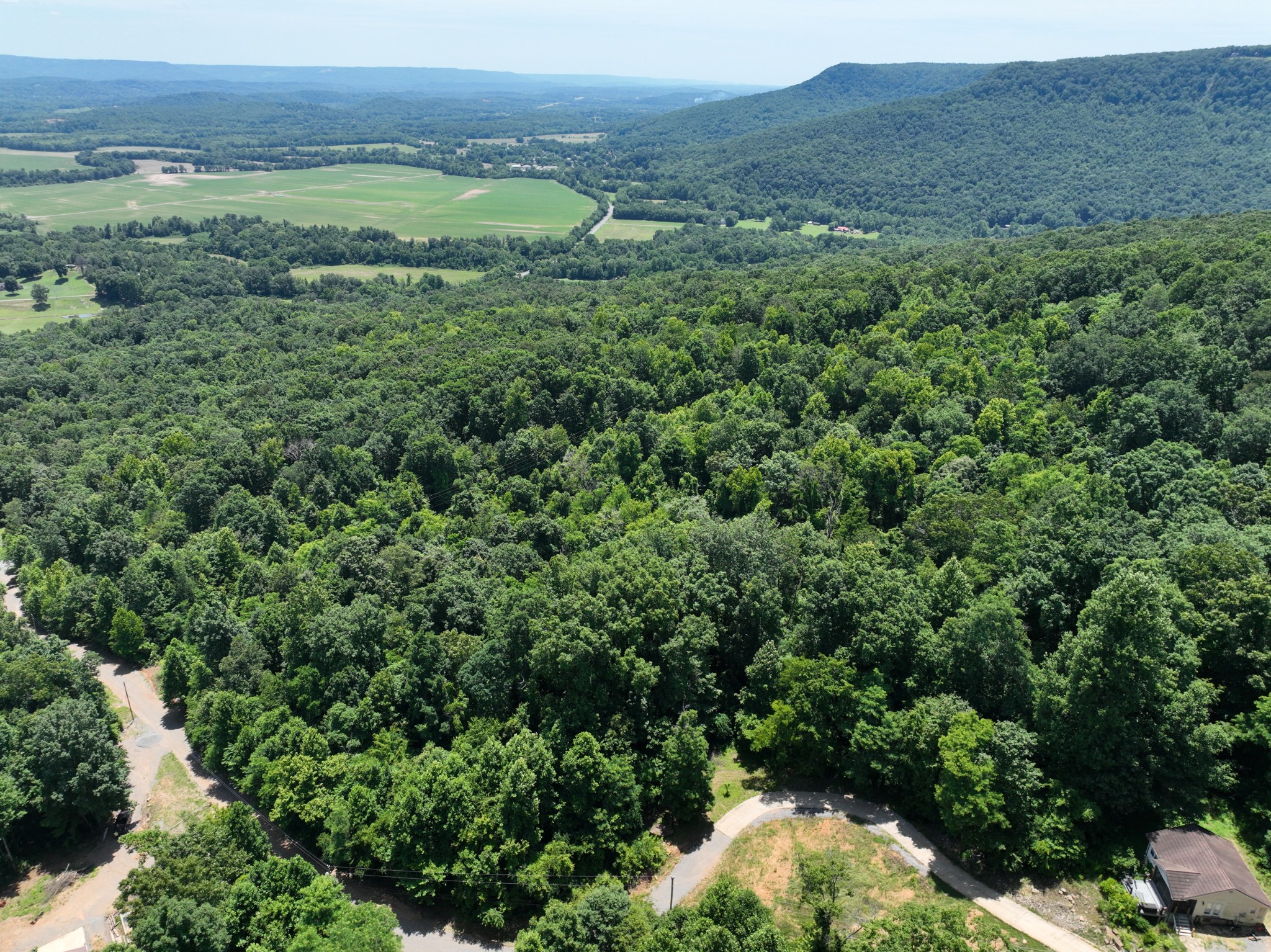 83 Dancing Fern Road Sequatchie, TN 37374 - Photo 10 of 21 a view of a lush green forest with trees and some houses