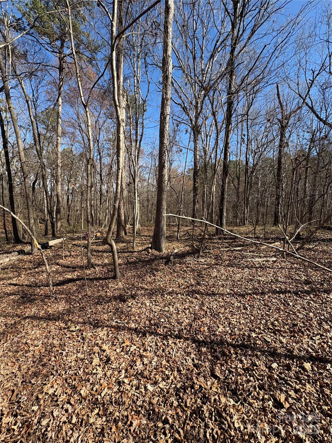 1417 Ellis Griffin Road Wingate, NC 28174 - Photo 13 of 18