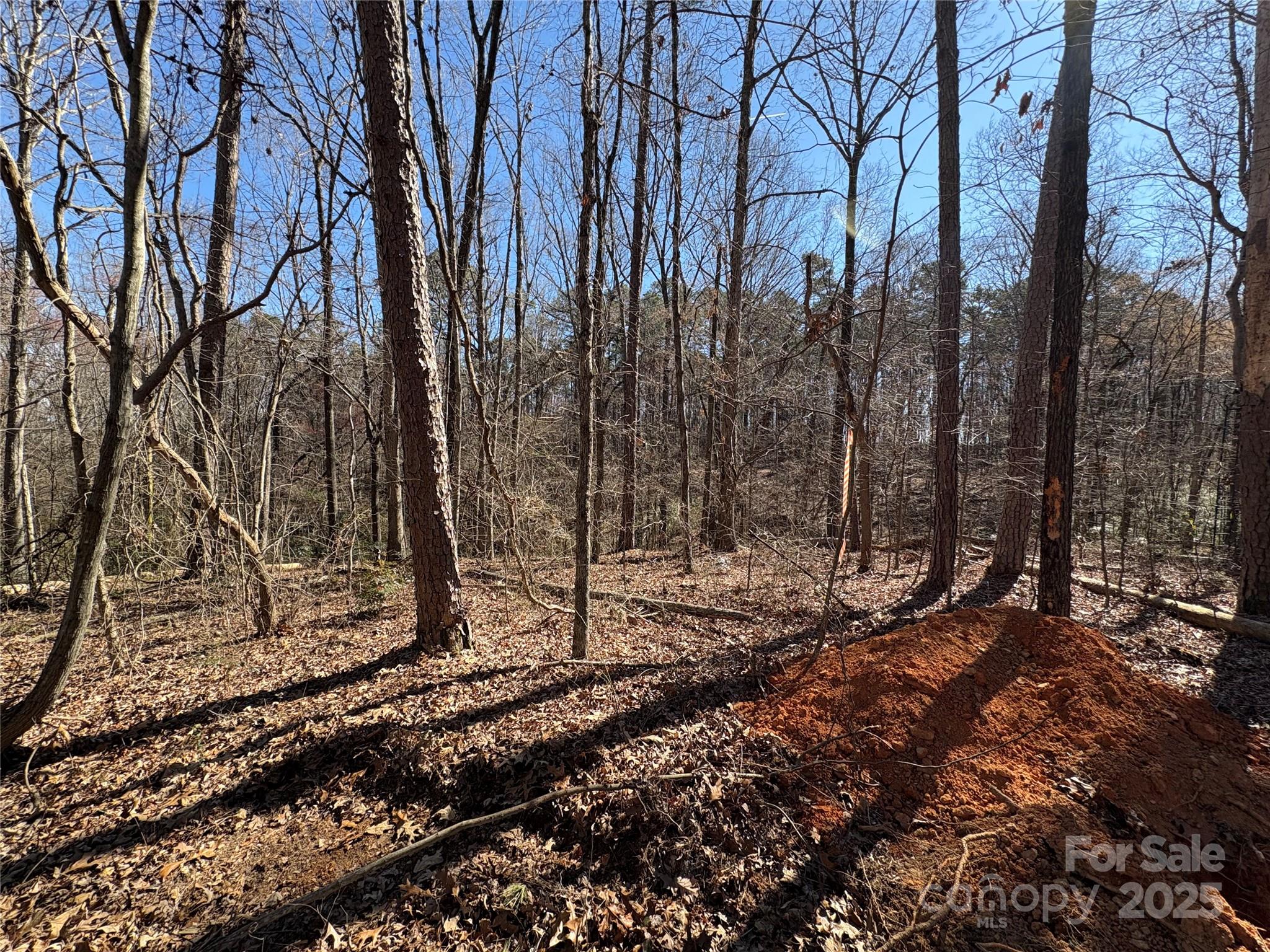 1417 Ellis Griffin Road Wingate, NC 28174 - Photo 14 of 18