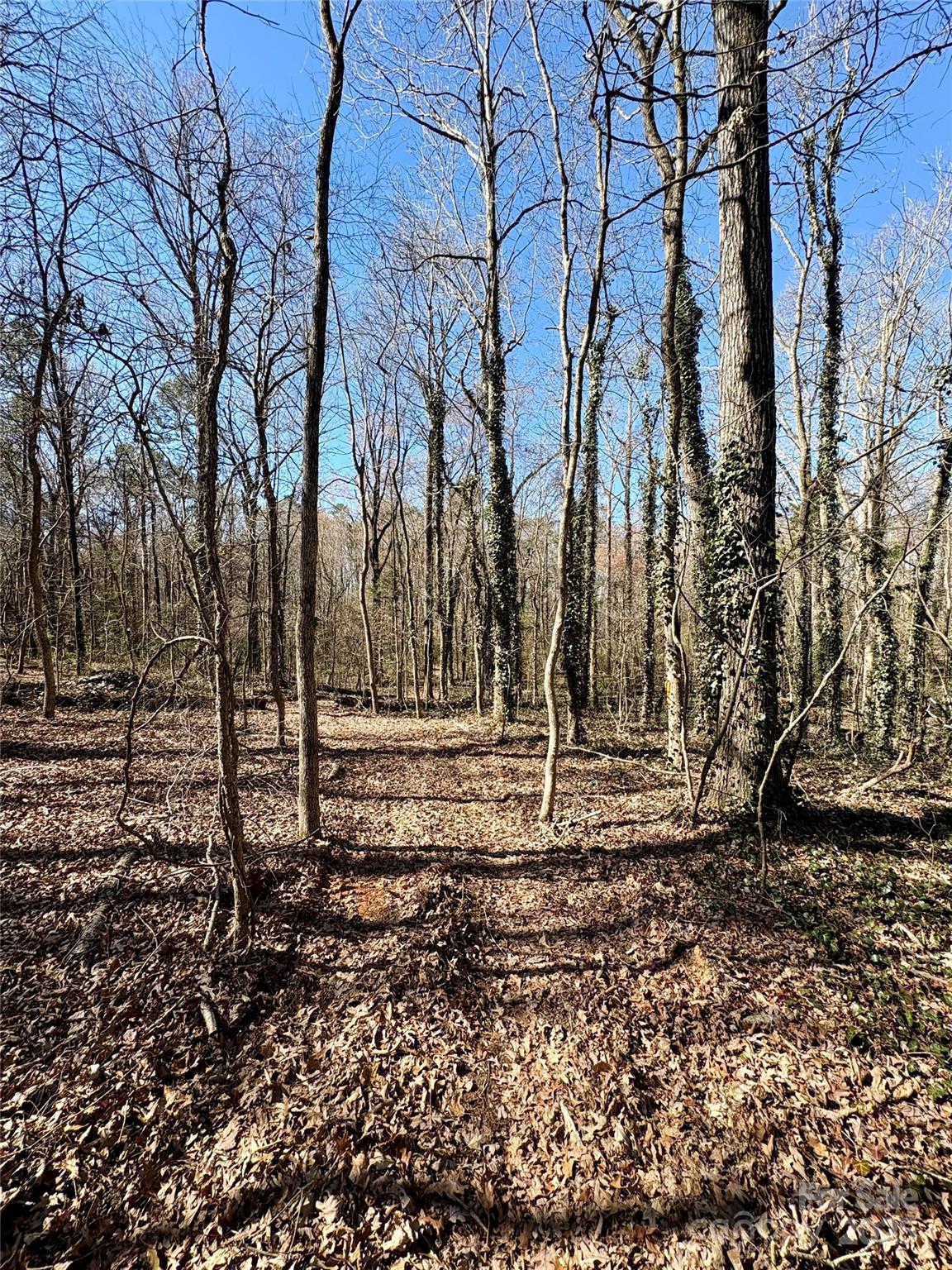 1417 Ellis Griffin Road Wingate, NC 28174 - Photo 3 of 18