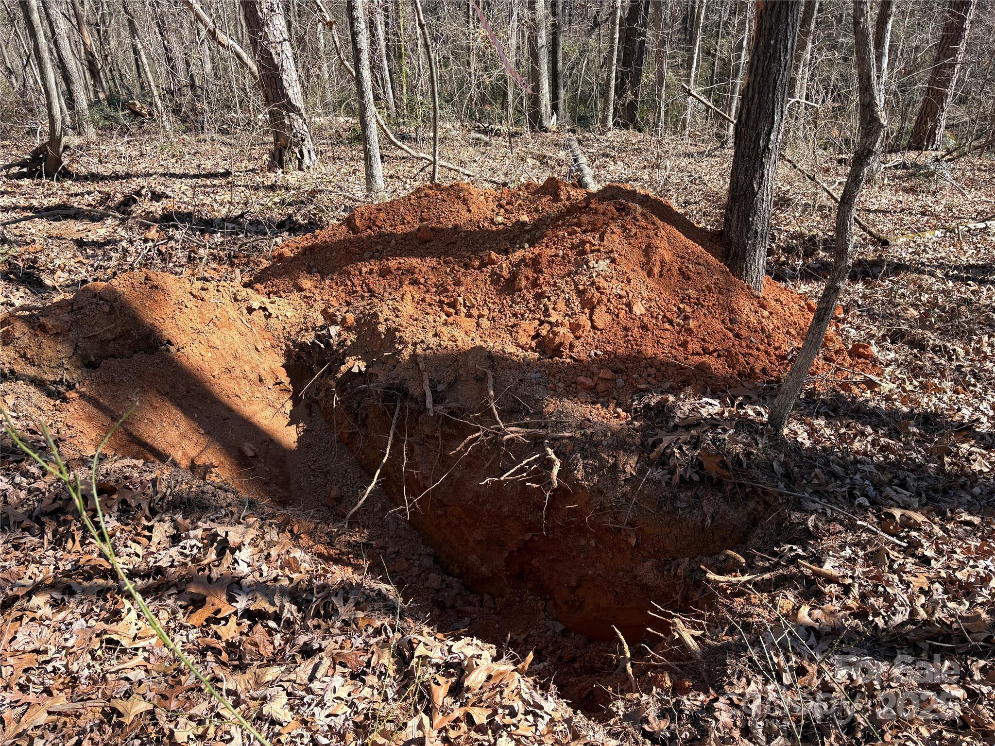 1417 Ellis Griffin Road Wingate, NC 28174 - Photo 6 of 18