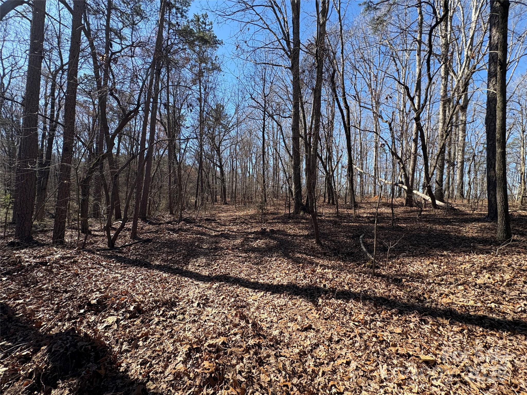 1417 Ellis Griffin Road Wingate, NC 28174 - Photo 7 of 18