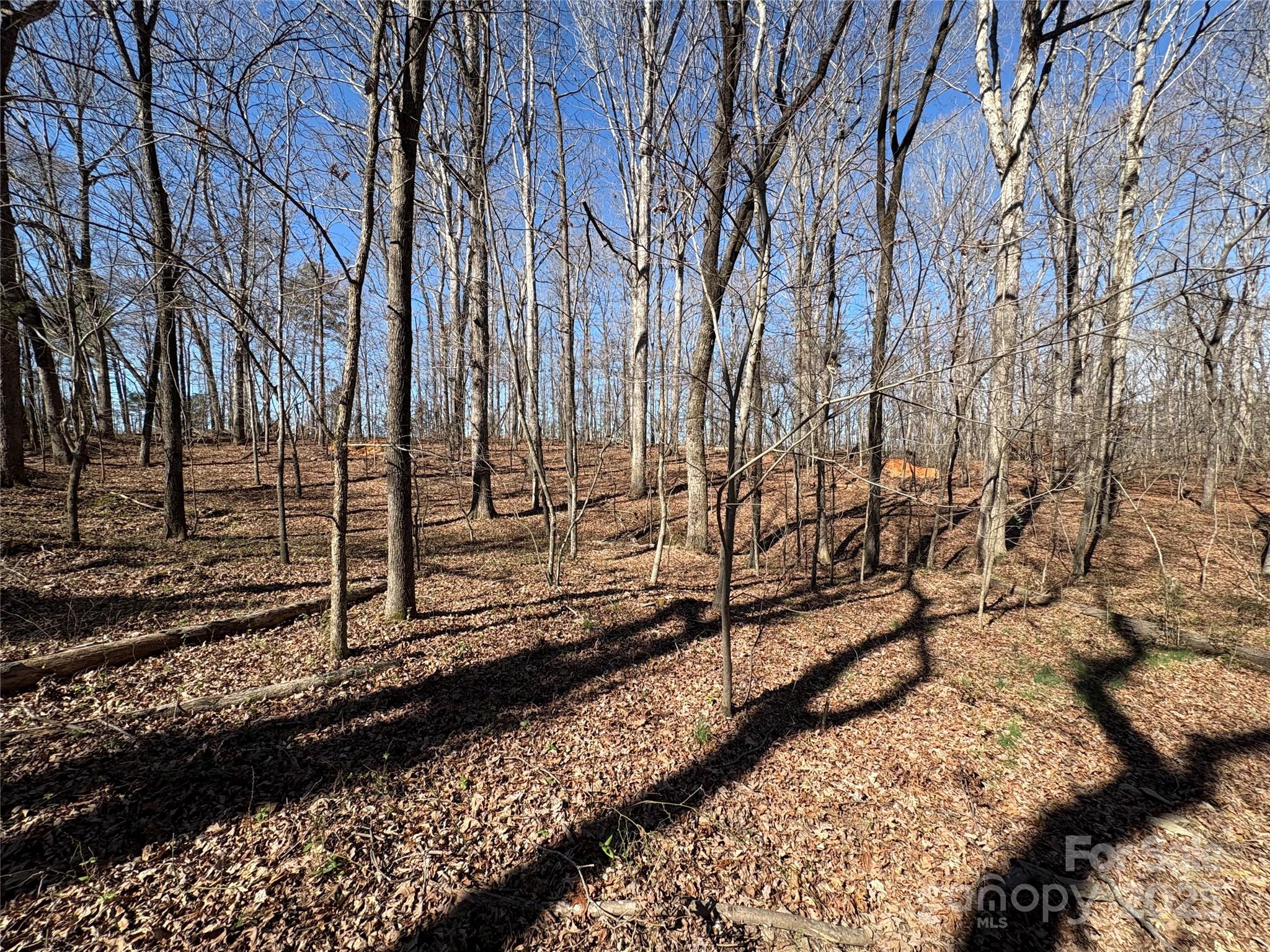 1417 Ellis Griffin Road Wingate, NC 28174 - Photo 10 of 18