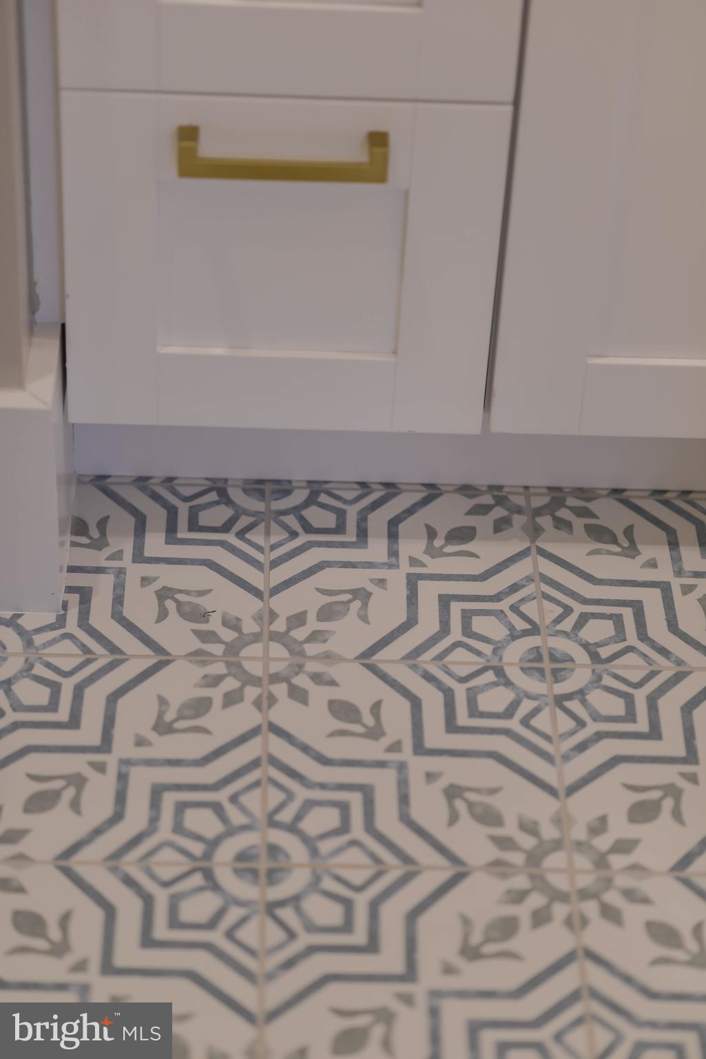 113 U Street Northeast, Unit A Washington, DC 20002 - Photo 20 of 32 Stunning tiled floors