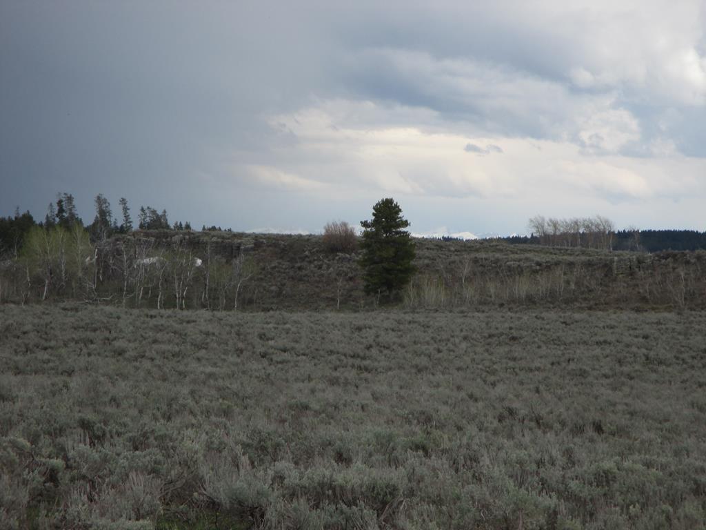 Tbd Old Shotgun Road Island Park, ID 83429 - Photo 1 of 1 Main View