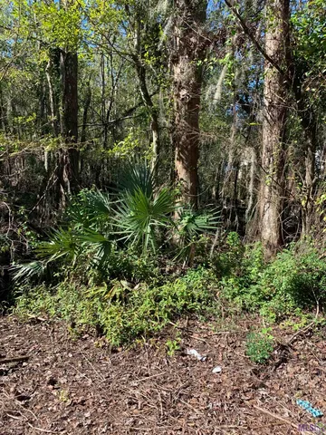 $50,000 | Tbd #2 Stephensville Road, Morgan City, LA 70380
