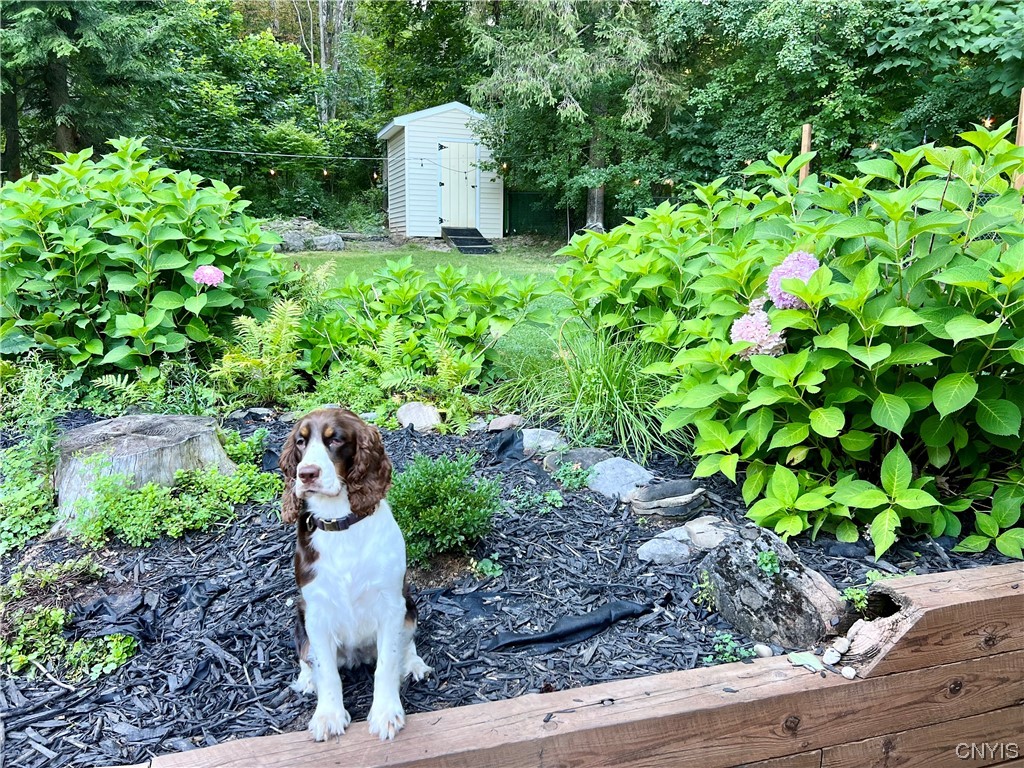 142 Hopper Road Syracuse, NY 13207 - Photo 31 of 39