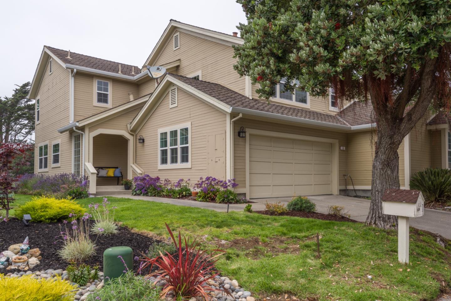 a view of a yard in front of a house with plants and large tree