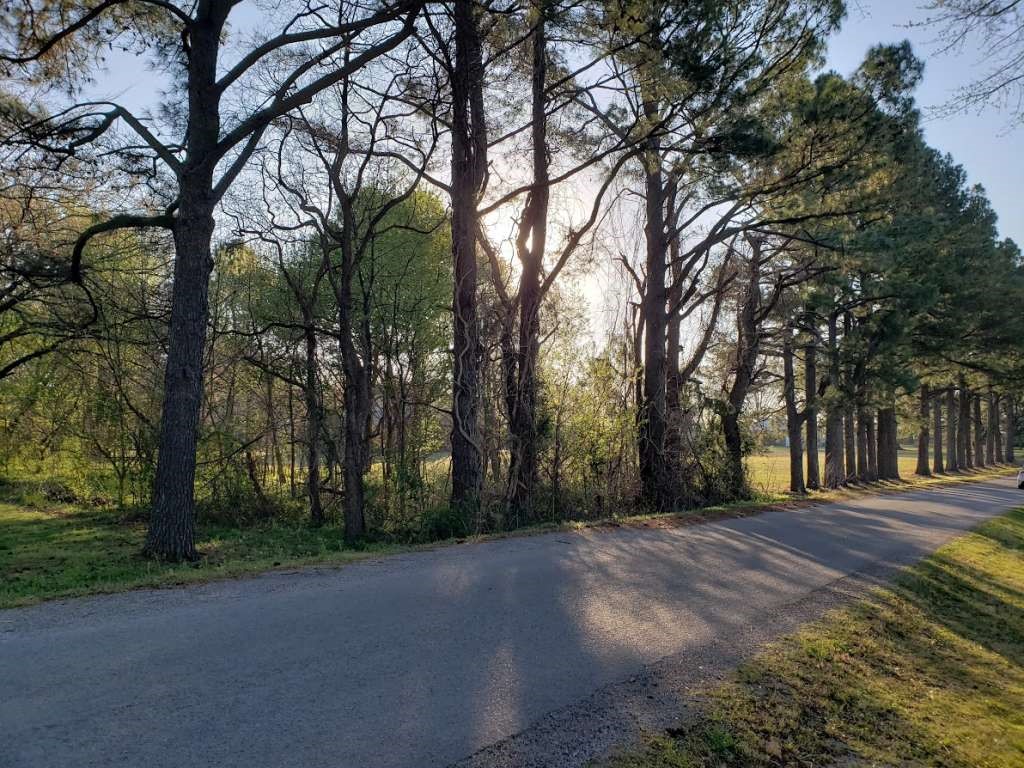 0 Longmire Road Humboldt, TN 38343 - Photo 2 of 3 a view of road with trees