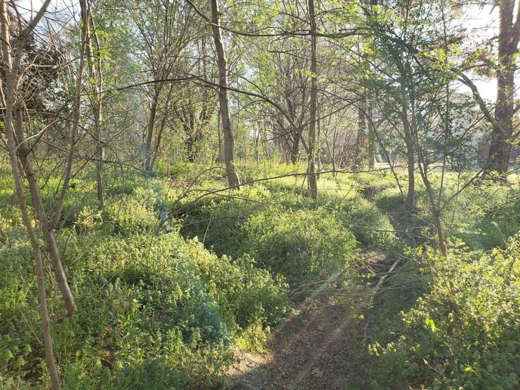 0 Longmire Road Humboldt, TN 38343 - Photo 3 of 3 a view of yard with green space