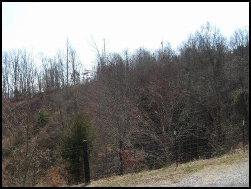 3587 North Hunter Bend Road Decatur, TN 37322 - Photo 21 of 39 Additional Photo