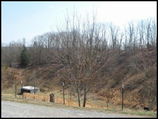 3587 North Hunter Bend Road Decatur, TN 37322 - Photo 22 of 39 Additional Photo