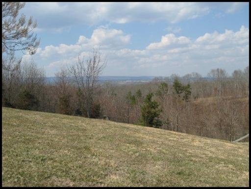 3587 North Hunter Bend Road Decatur, TN 37322 - Photo 25 of 39 Additional Photo
