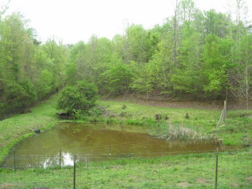 3587 North Hunter Bend Road Decatur, TN 37322 - Photo 30 of 39 Additional Photo