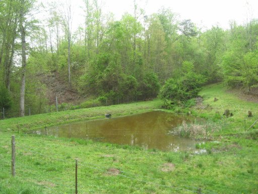 3587 North Hunter Bend Road Decatur, TN 37322 - Photo 33 of 39 Additional Photo