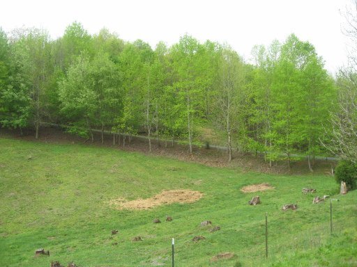 3587 North Hunter Bend Road Decatur, TN 37322 - Photo 37 of 39 Additional Photo