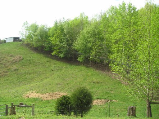 3587 North Hunter Bend Road Decatur, TN 37322 - Photo 39 of 39 Additional Photo