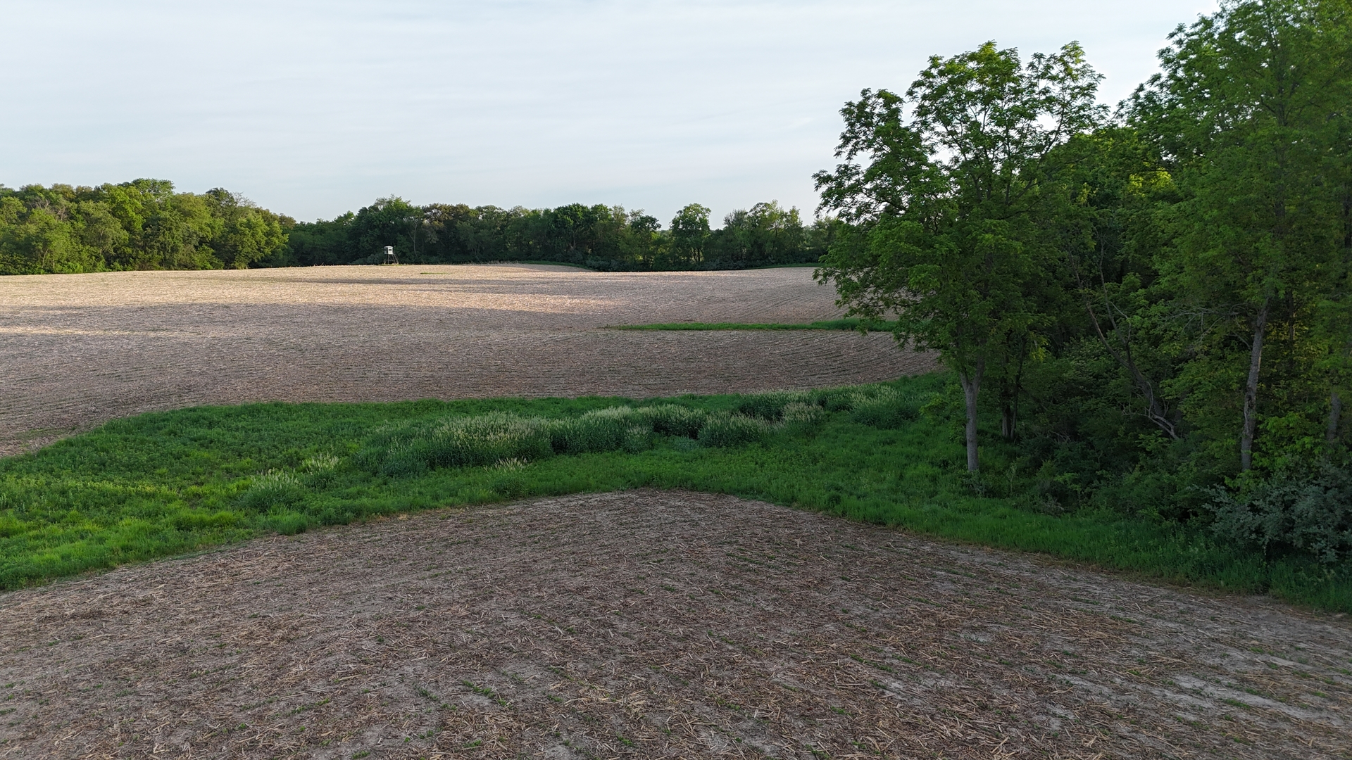 0 Ridgewood Road Milan, IL 61264 - Photo 39 of 43 a view of a field with a tree in the background