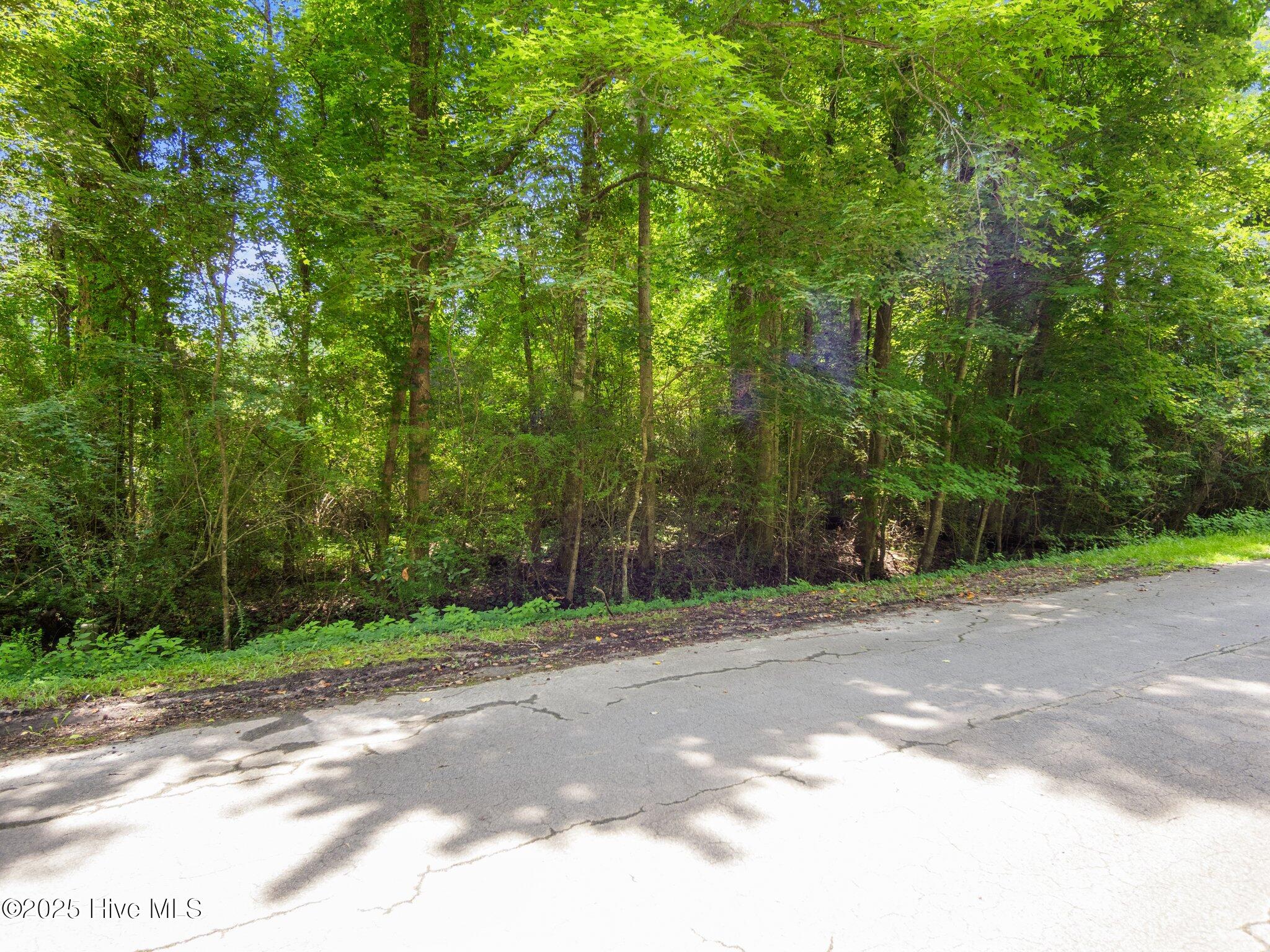 108 Tradewinds Road Newport, NC 28570 - Photo 14 of 14 14-web-or-mls-P6246023