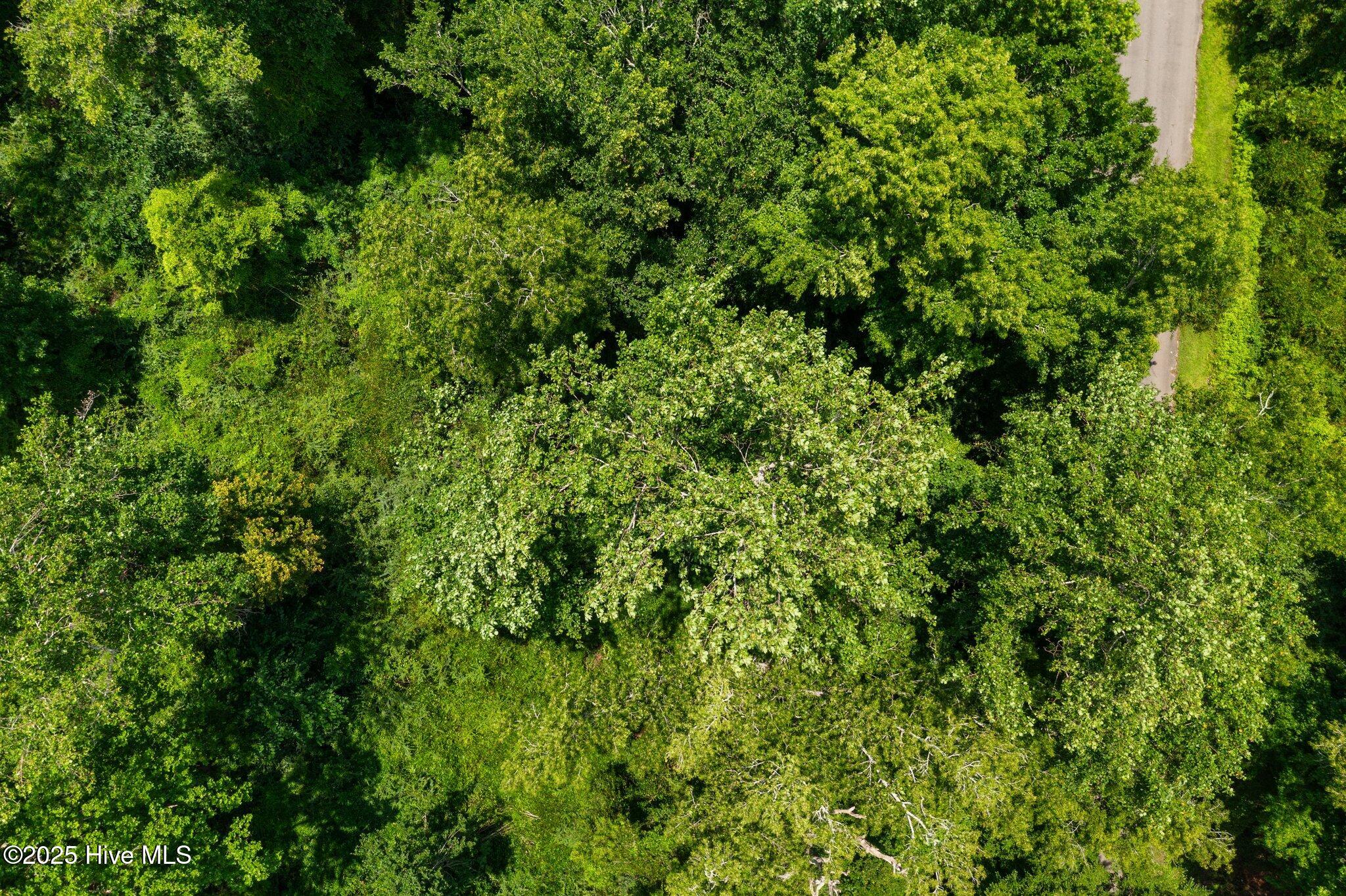108 Tradewinds Road Newport, NC 28570 - Photo 2 of 14 2-web-or-mls-DJI_0220