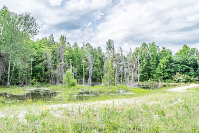 778 Caldwell Bridge Road Concord, GA 30206 - Photo 5 of 34 Additional Photo