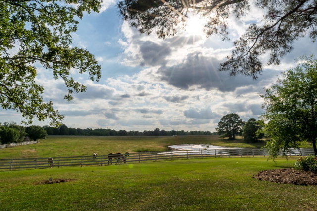 778 Caldwell Bridge Road Concord, GA 30206 - Photo 10 of 34 Additional Photo