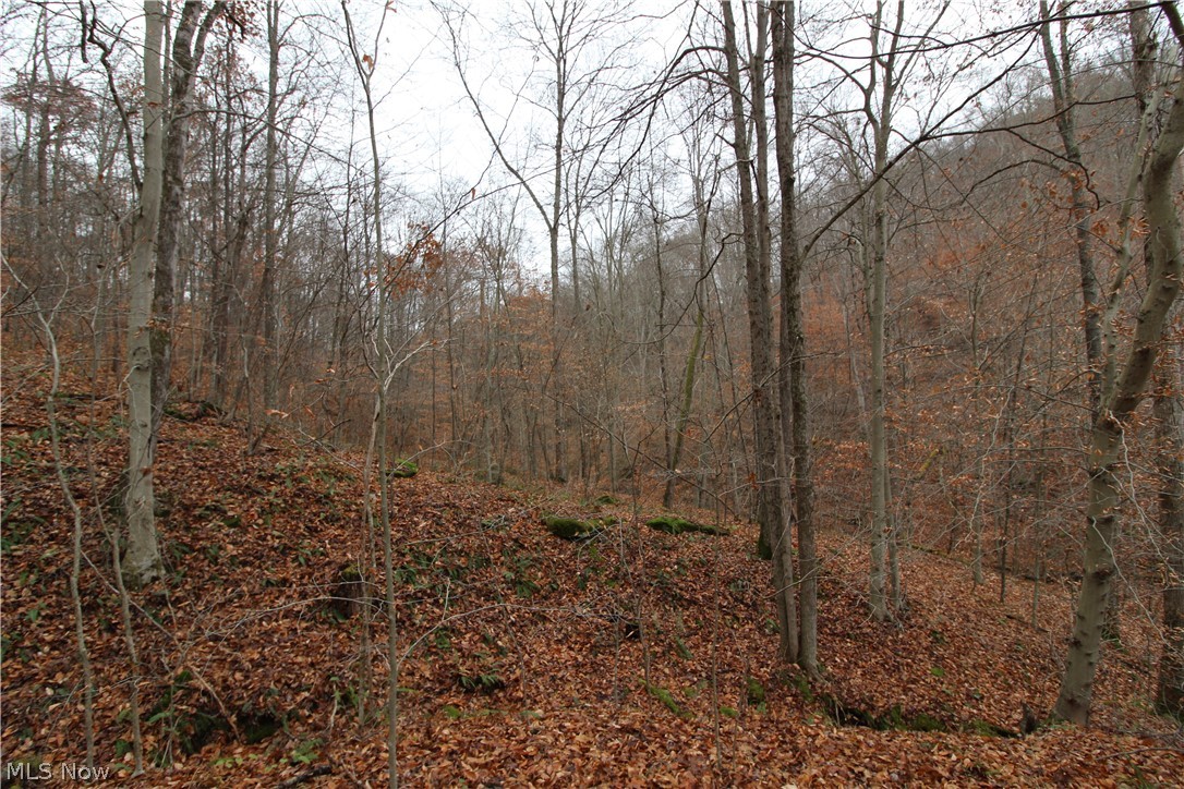 Wilson Run Road New Matamoras, OH 45767 - Photo 31 of 34 Gallery Image 31