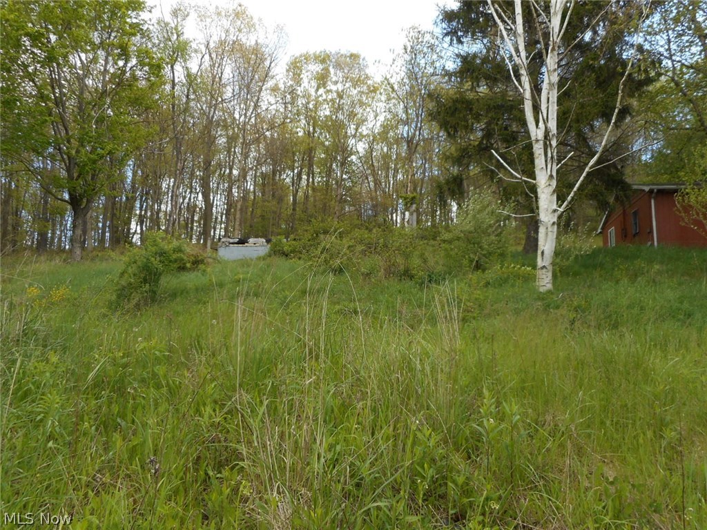 1841-1829 Arner Road Chester, WV 26034 - Photo 3 of 8