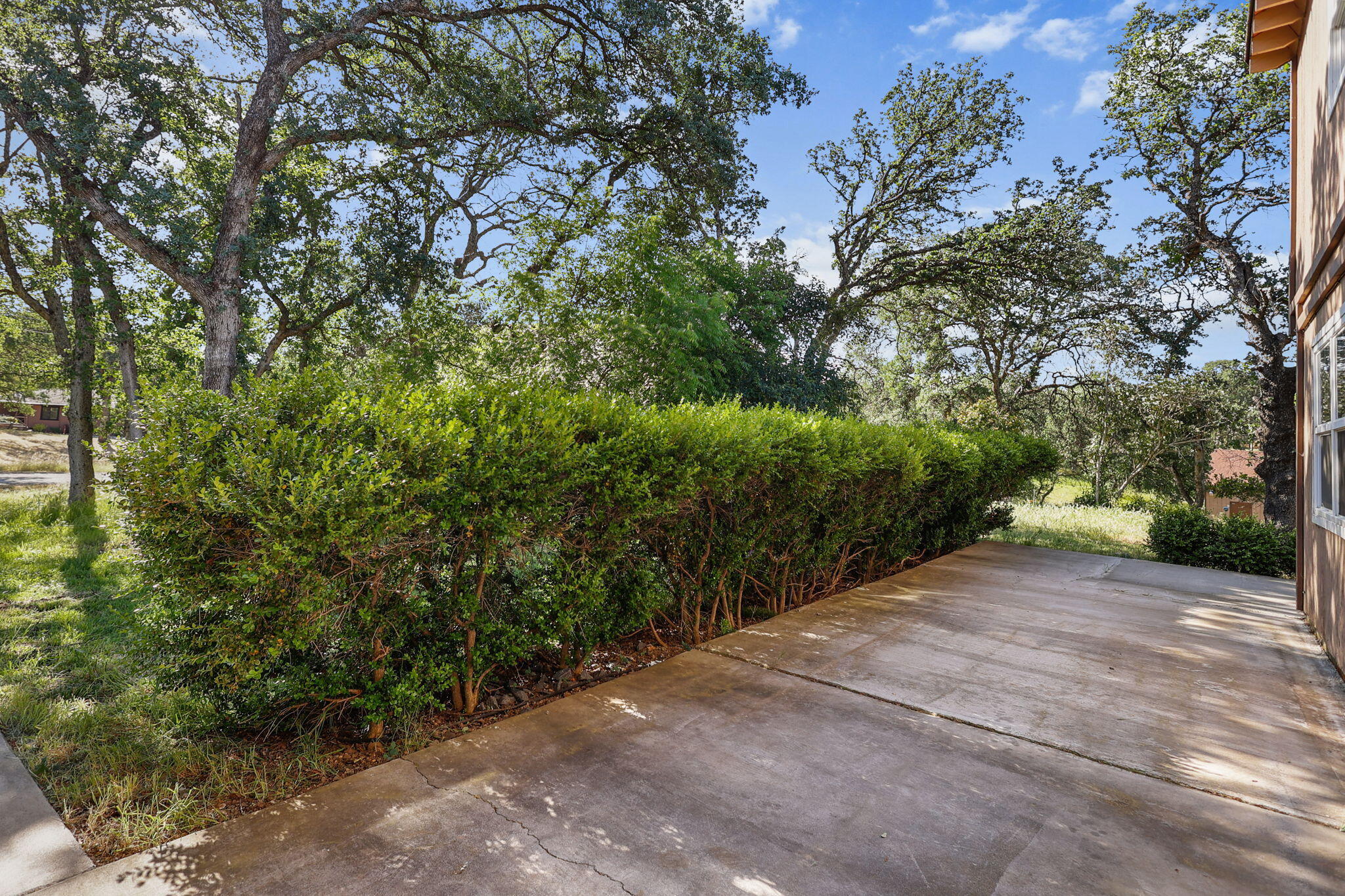 21445 Wilcox Road Red Bluff, CA 96080 - Photo 39 of 41 Yard