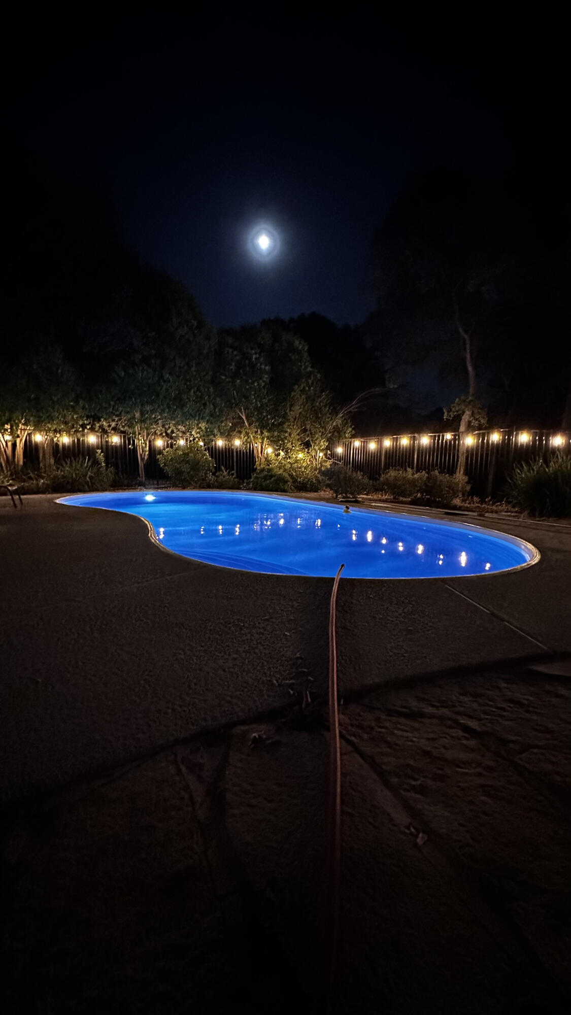 21445 Wilcox Road Red Bluff, CA 96080 - Photo 7 of 41 Pool