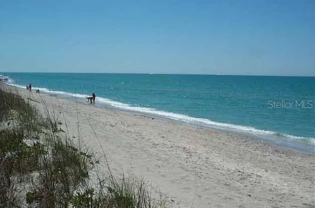 a view of beach and ocean