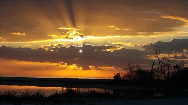 a view of a golf course with a garden