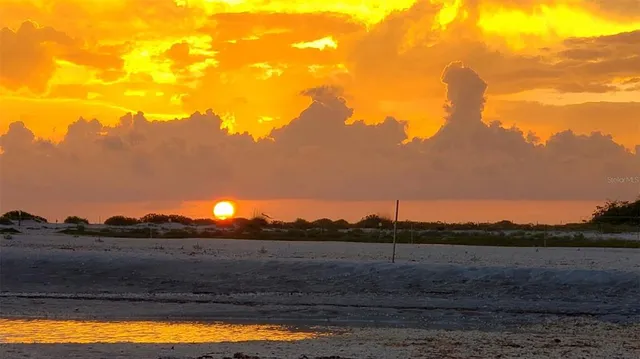 a view of ocean with a palm tree