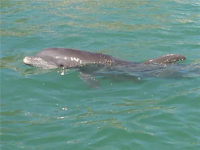 $4,350 | 1760 Gulf Boulevard, Unit 601, Englewood, FL 34223