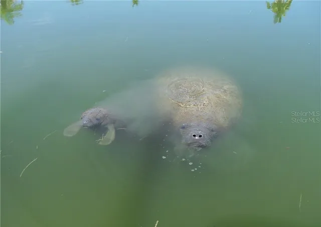 $4,350 | 1760 Gulf Boulevard, Unit 601, Englewood, FL 34223