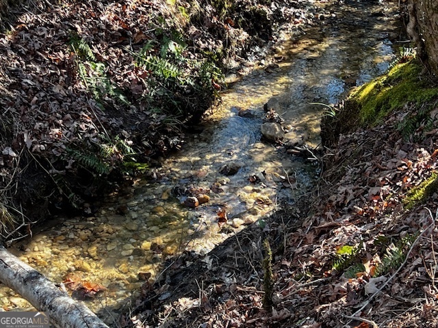 a view of a tree in a yard